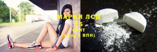 мдпв Тайга