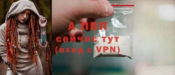 мдпв Тайга