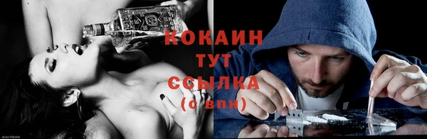 мдпв Тайга