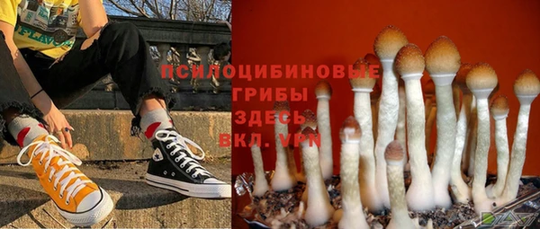 COCAINE Тавда