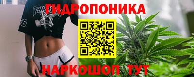 PSILOCYBIN Сланцы
