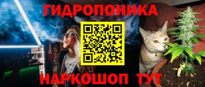 гидра Славянск-на-Кубани