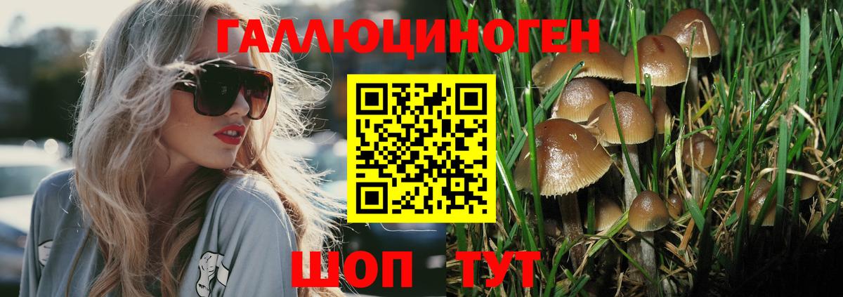 Псилоцибиновые грибы Magic Shrooms  Псилоцибиновые грибы Cubensis  Рязань  Вход с VPN 